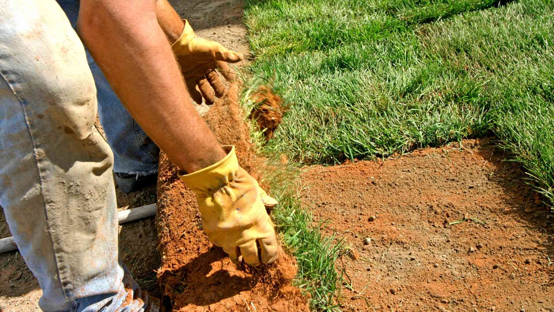 Landscape Design And Installation 